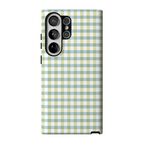 Pastel Picnic | Blue & Green Gingham Case