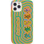 In the Groove | Grateful Dead Dancing Bears Case