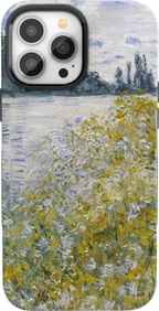 Monet’s Summer Landscape | The Met Series Case