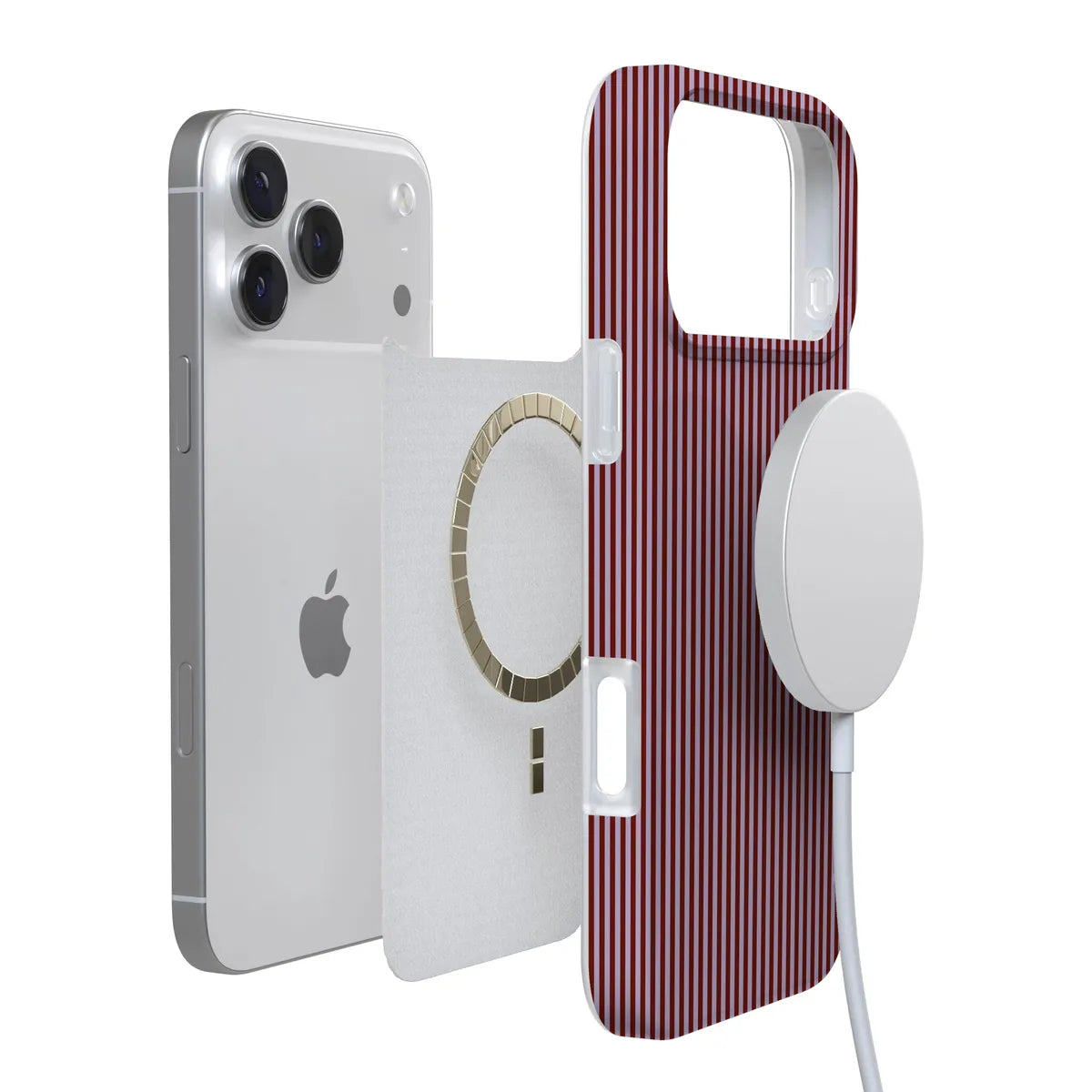 Stripes and the City | Tiny Pinstripe Case