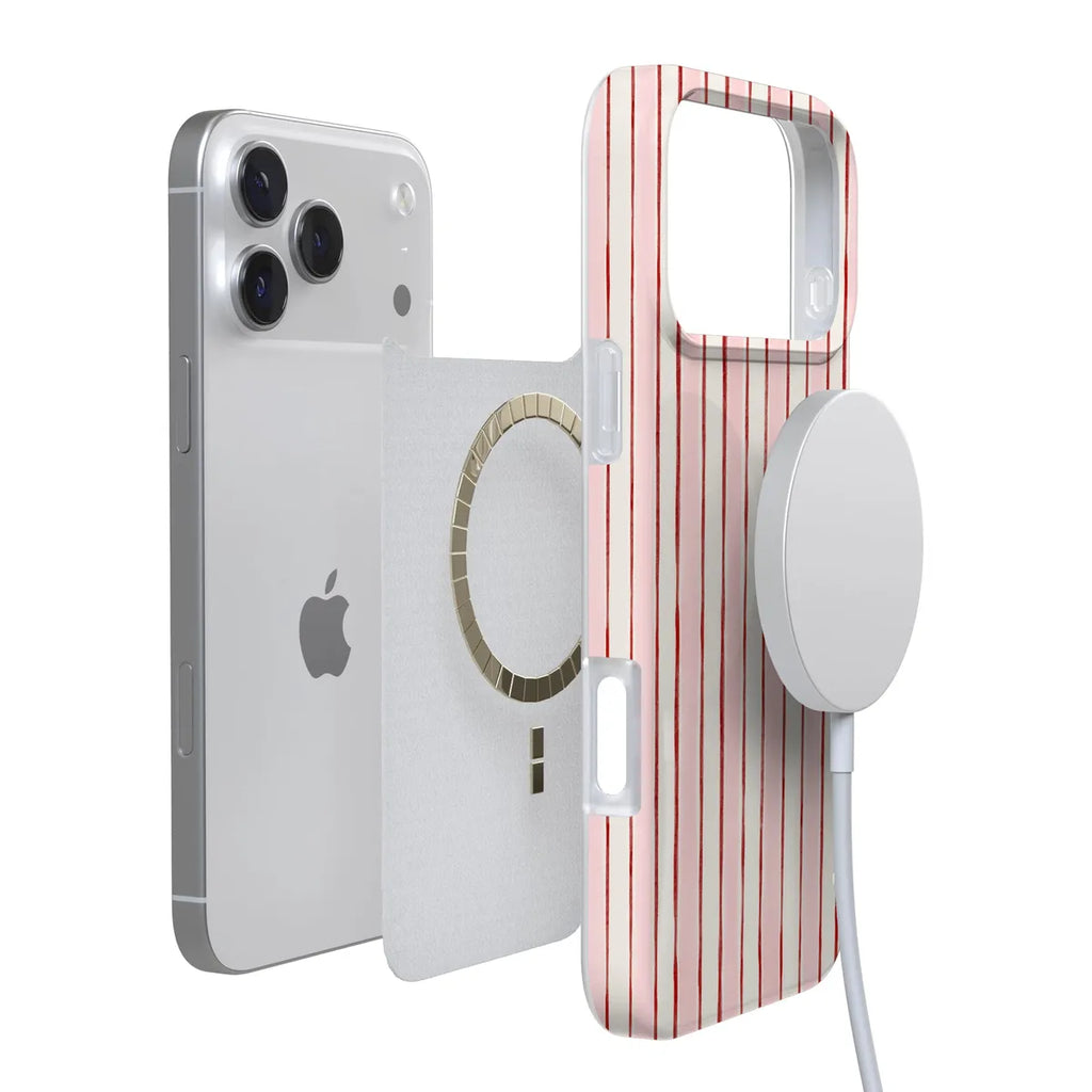 Pretty in Pastel | Blush Stripes Case
