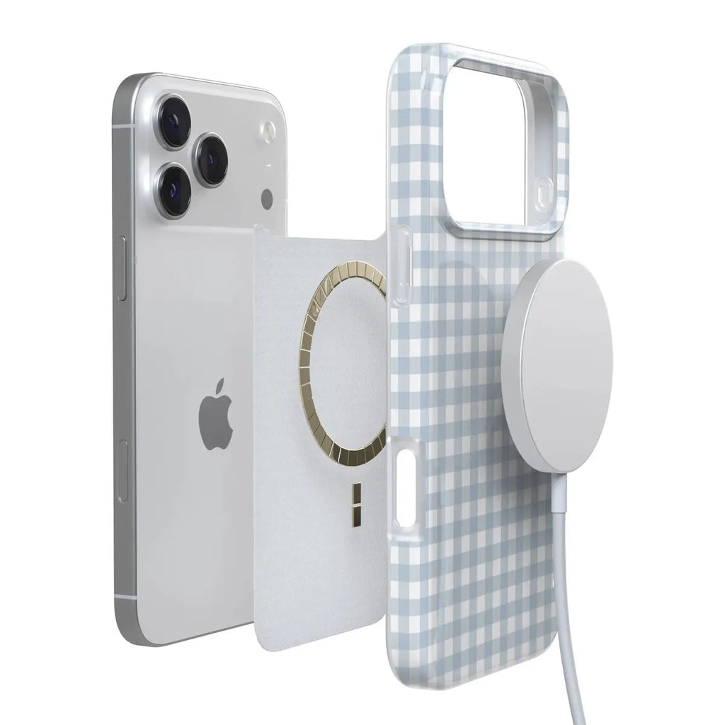 Pastel Picnic | Blue Gingham Case