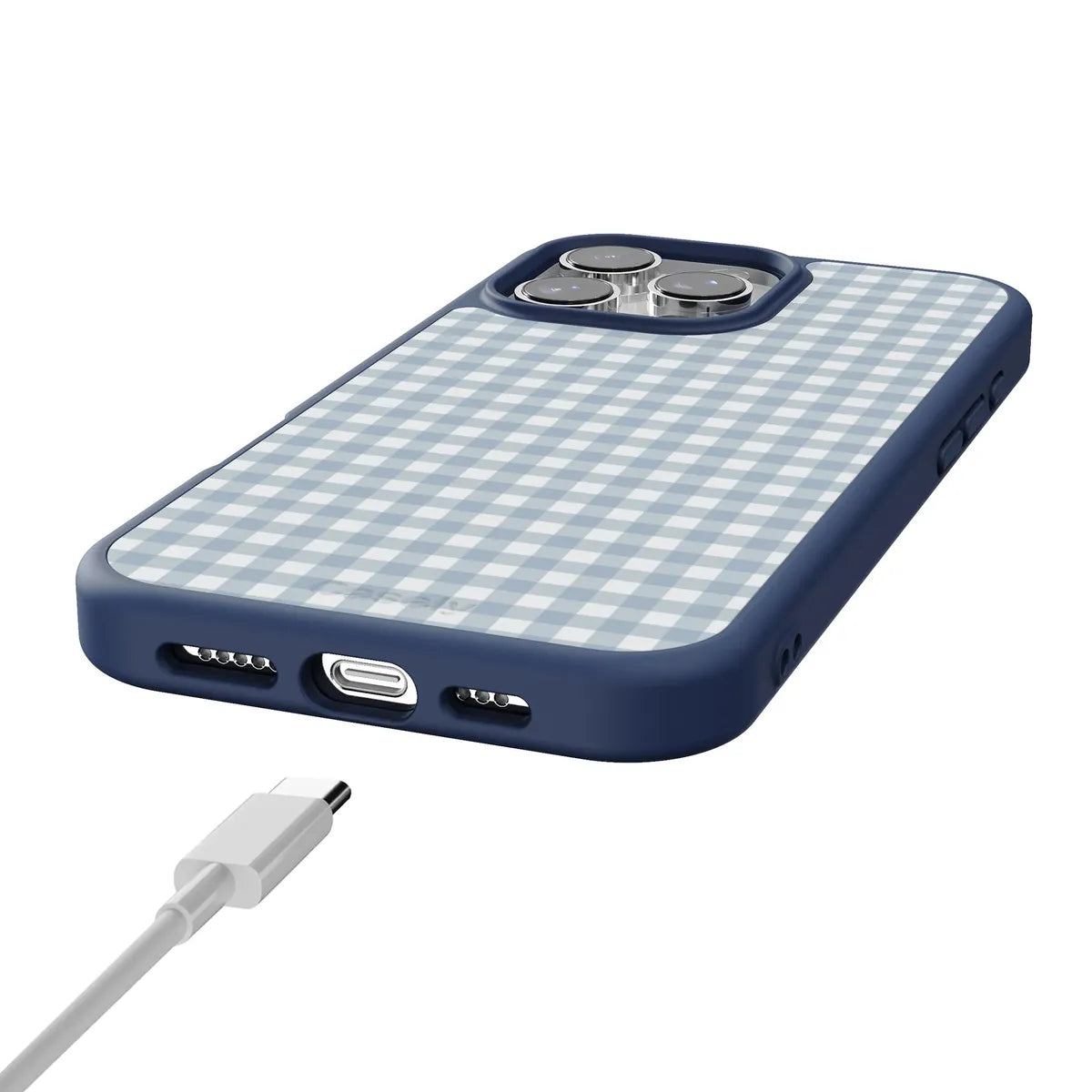 Pastel Picnic | Blue Gingham Case