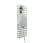 Pastel Picnic | Blue & Green Gingham Case