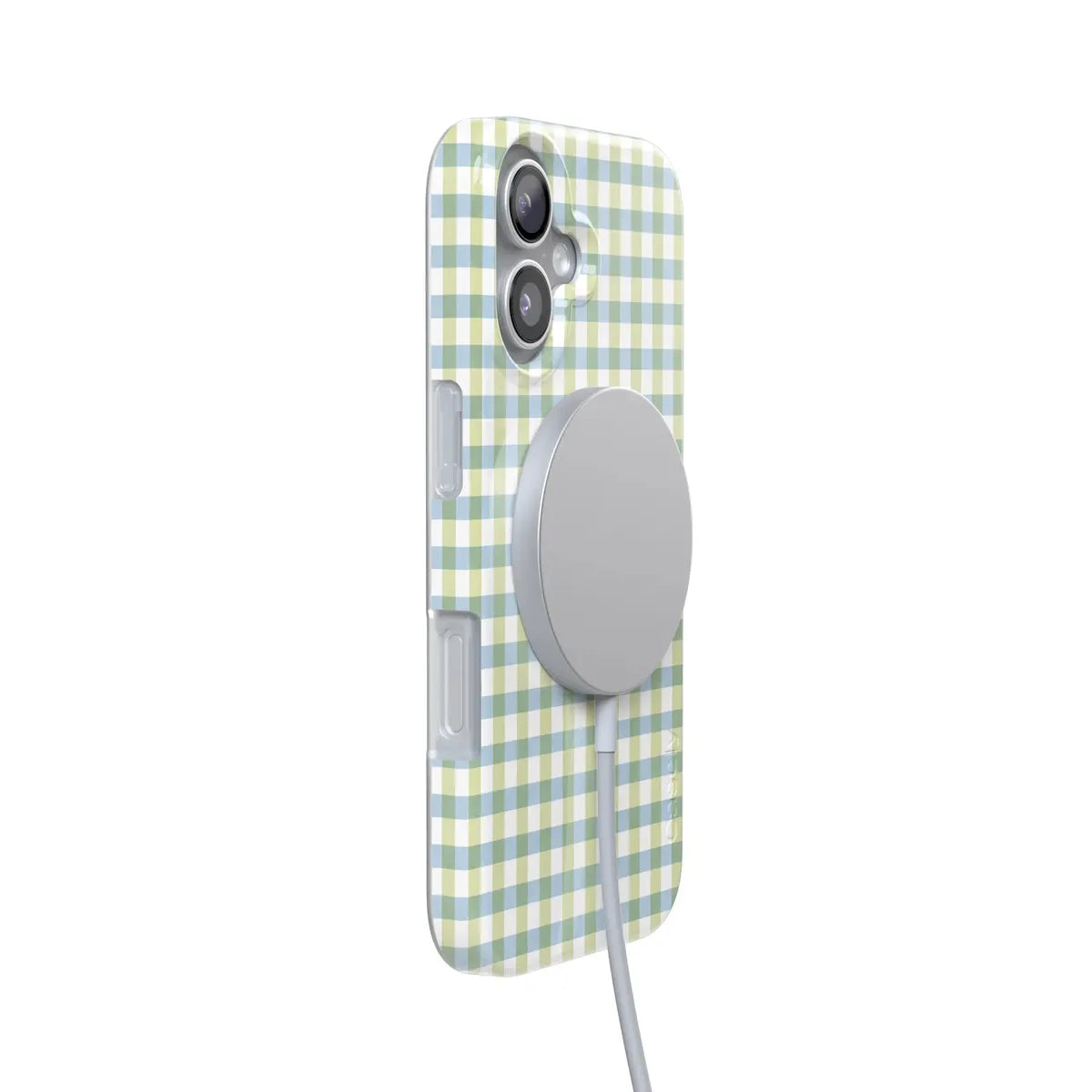 Pastel Picnic | Blue & Green Gingham Case
