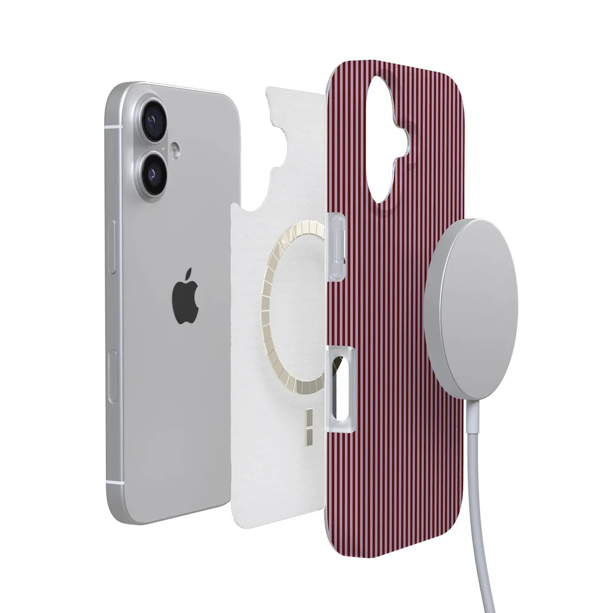 Stripes and the City | Tiny Pinstripe Case