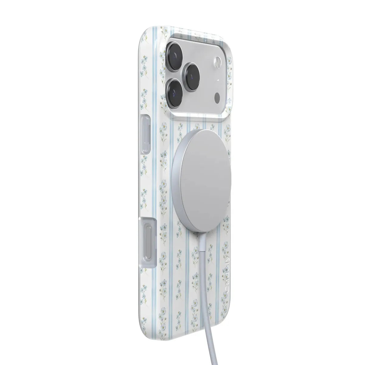 Cottage Stripe | Blue Floral Case