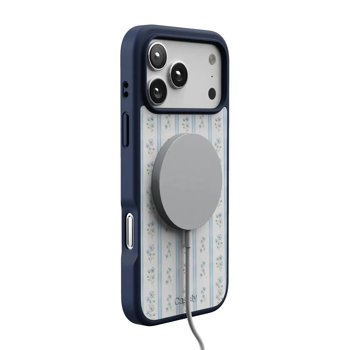 Cottage Stripe | Blue Floral Case