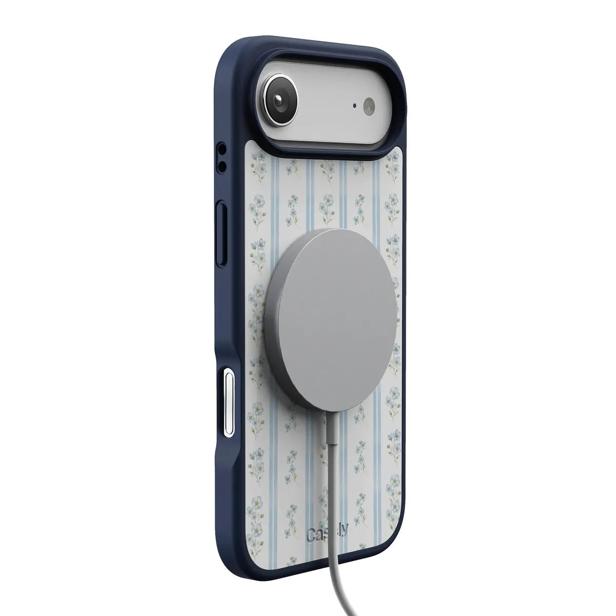 Cottage Stripe | Blue Floral Case