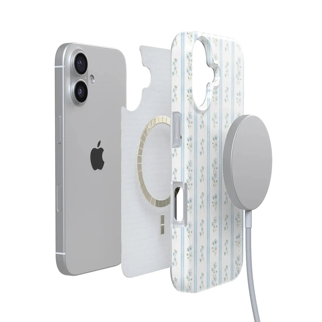 Cottage Stripe | Blue Floral Case