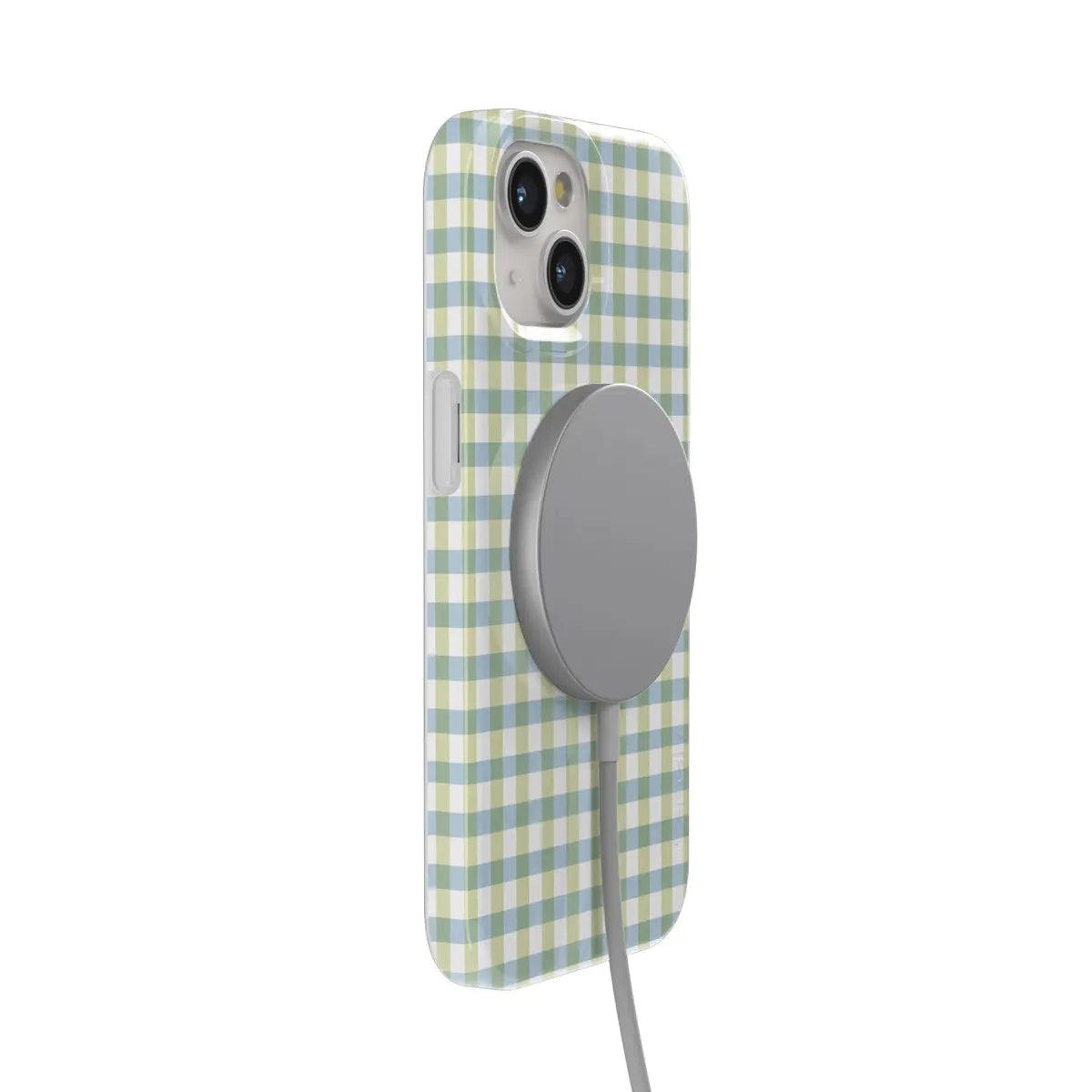 Pastel Picnic | Blue & Green Gingham Case