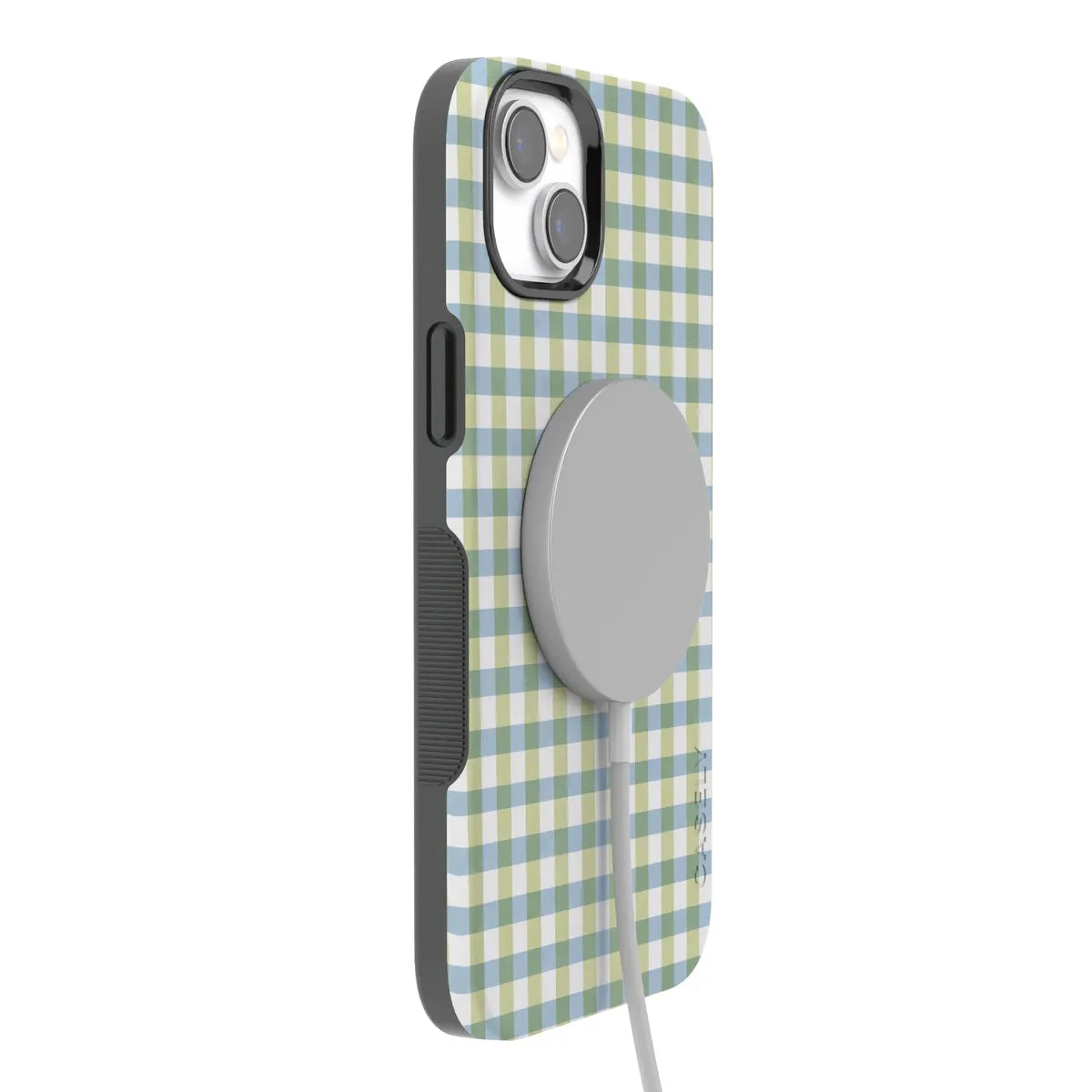 Pastel Picnic | Blue & Green Gingham Case