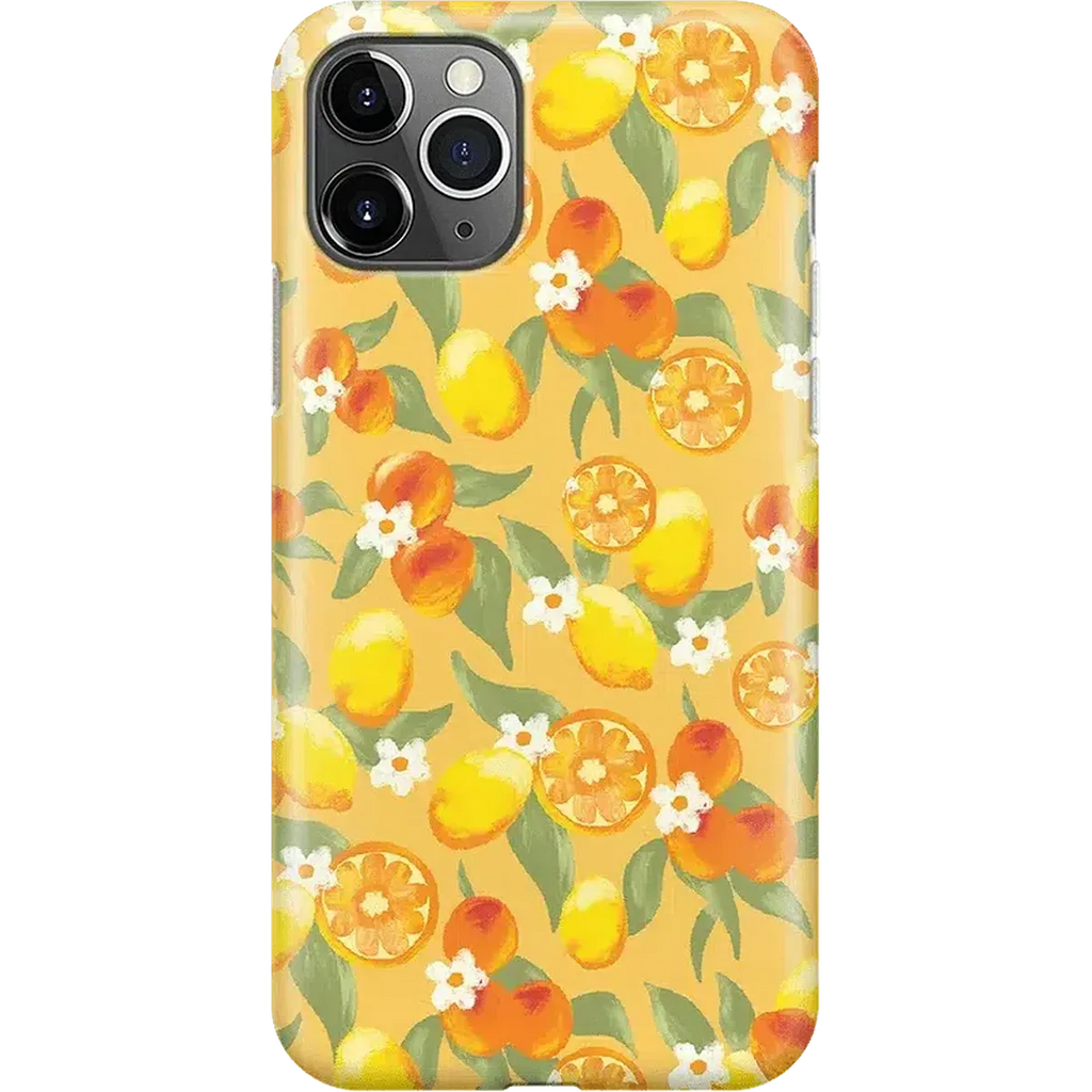 Positano | Dippin' Daisy's Italian Coast Case