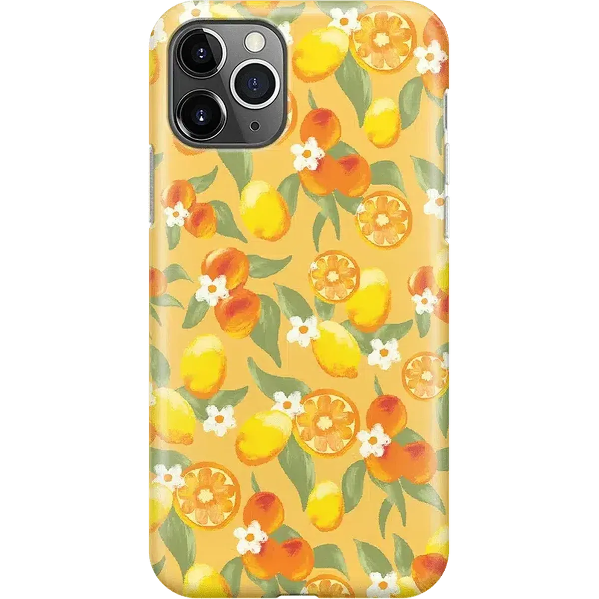 Positano | Dippin' Daisy's Italian Coast Case