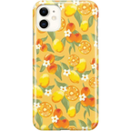 Positano | Dippin' Daisy's Italian Coast Case