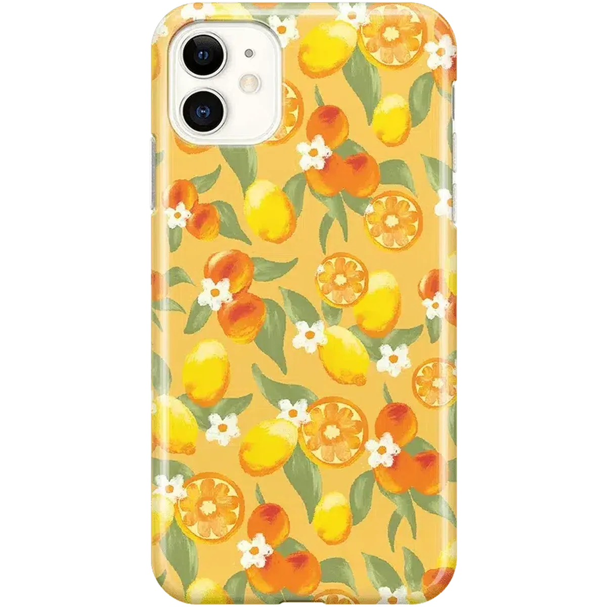 Positano | Dippin' Daisy's Italian Coast Case