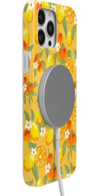 Positano | Dippin' Daisy's Italian Coast Case