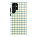 Pastel Picnic | Blue & Green Gingham Case
