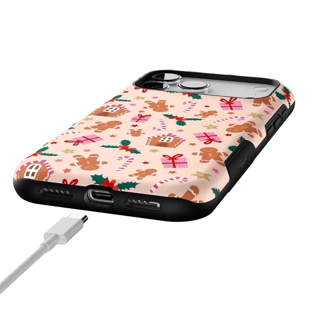 Frosted Wishes | Sweet Treat Case