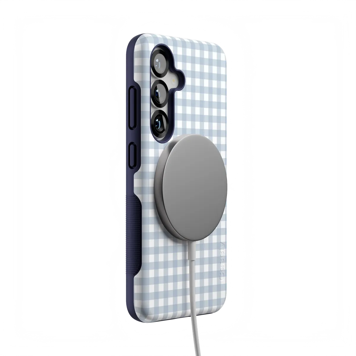 Pastel Picnic | Blue Gingham Case